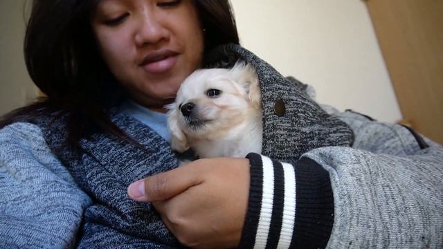 JAPAN LIFE | Filipino Family | Start na ng VLOGMAS | Thank U sis sheinna | Pregnancy Checkup | 14W6