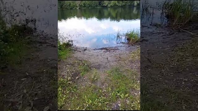 рыбаки 😄