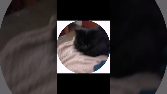 Мои кружки https://t.me/rvggdsv https://t.me/eXistenZ2