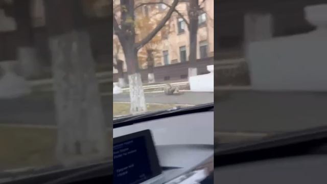 Когда Сырский объявил новый,срочный «контрнаступ»,а у тебя не хватает штурмовиков !!!