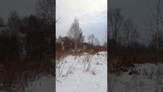 прогулка