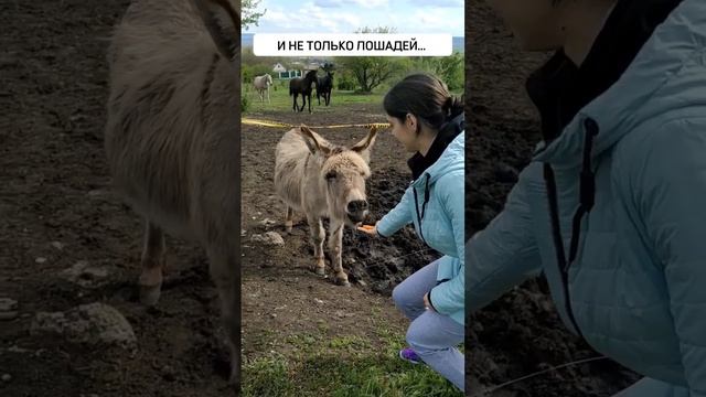 А в какие необычные места приглашали вас на свидание?