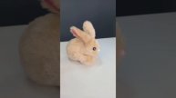 Зайчик медовый коричневый