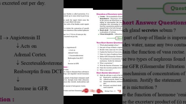 CLASS 11 Biology Revision Notes Excretory Products and Their Elimination | Biology Revision Notes