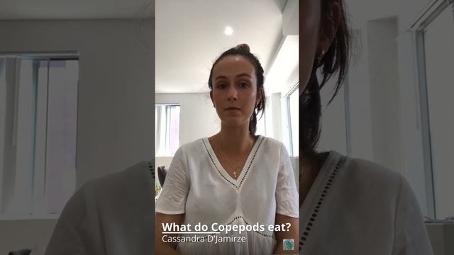 What do Copepods eat?