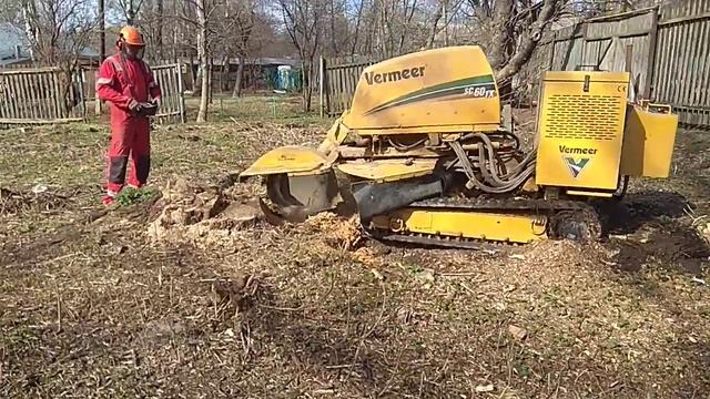 удаление (дробление) пней