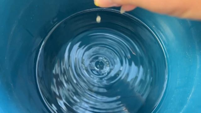 How to apply urea using spray method. Part 2.