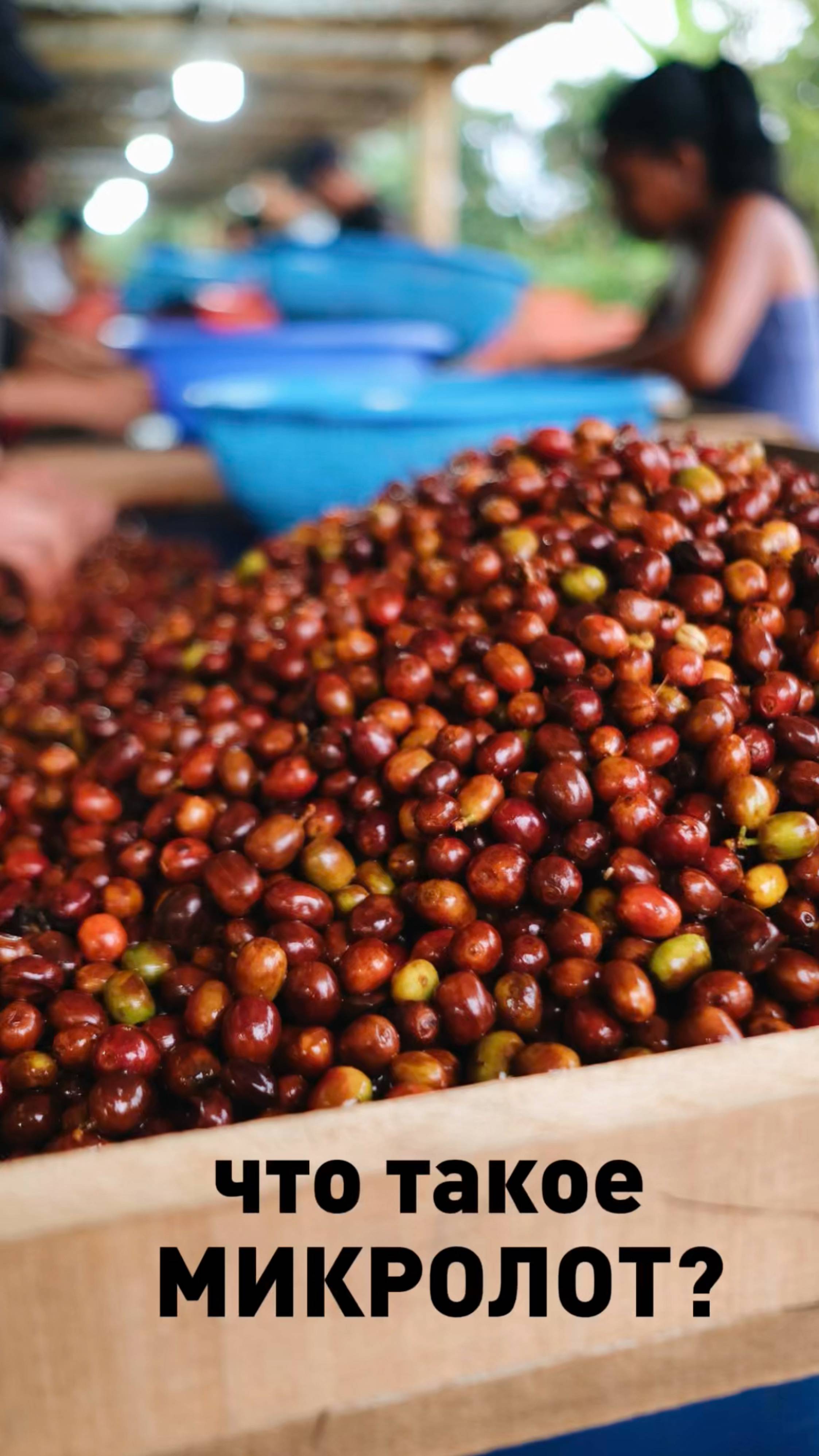 Что такое микролот кофе?
