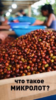 Что такое микролот кофе?