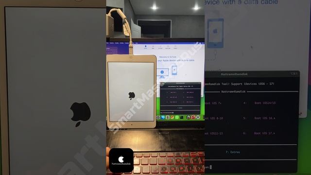 Разблокировка и обход iCloud-блокировки without SIM на iPad Mini 2 16GB Silver