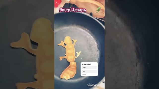 Ящер Цезарь