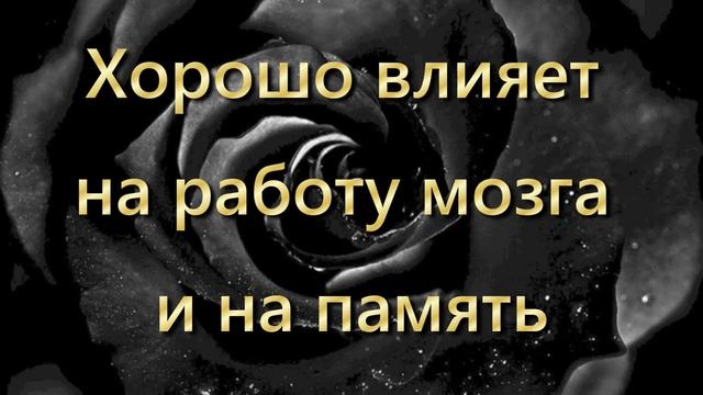 10 растений для дома как успокоительное лекарство