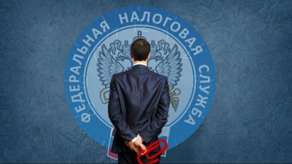 Как договориться с налоговой, не попасть в ФРПВ и план проверок