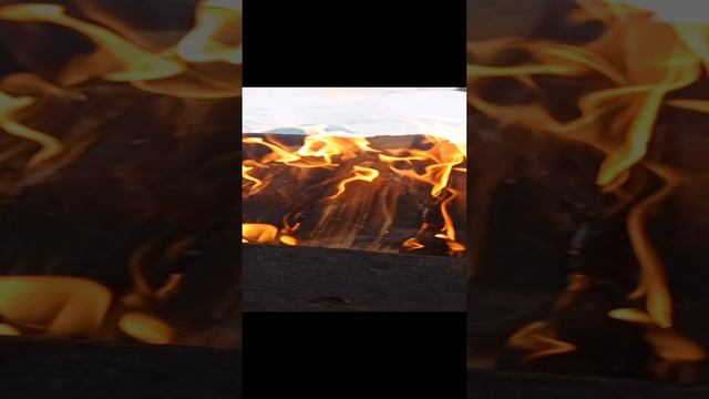 1000167119.mp4
