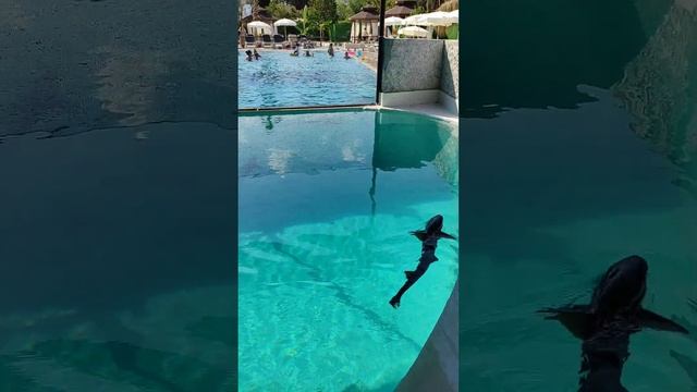 Бассейны с морской водой, рыбами и затопленные статуи