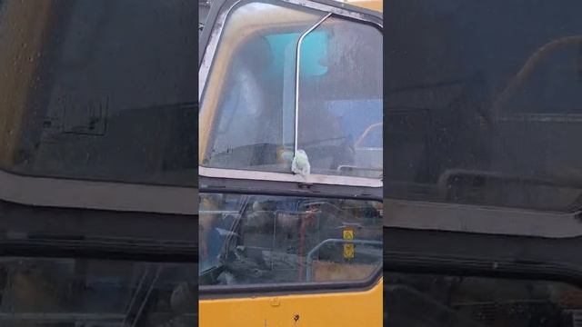 Экскаватор гусеничный VOLVO EC 160 BLC
