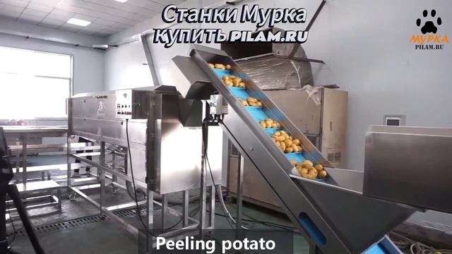 Мурка Станок для очистки корнеплодов MSTP-80 купить на  pilam.ru