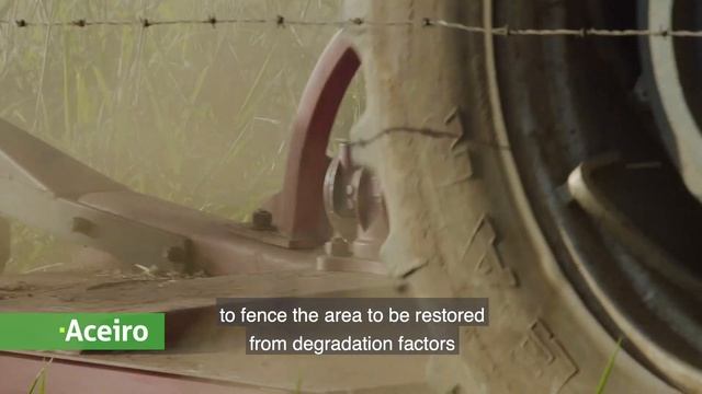 Restoration options for degraded agricultural lands in the Brazilian Atlantic forest