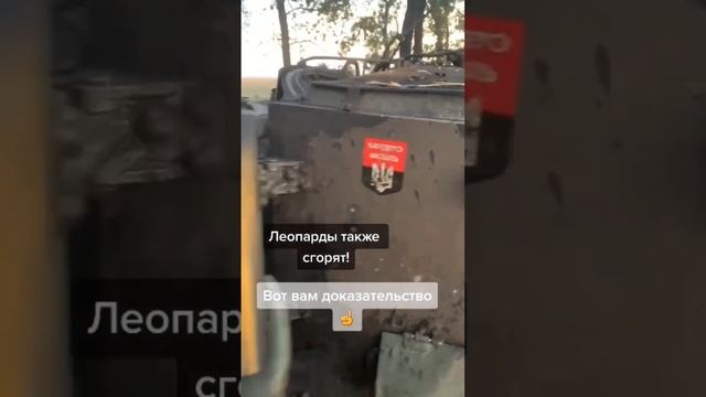 Леопарды следующие #дмитрийникотин #украина #россияукраина #войнаукраина #бахмут #соледар