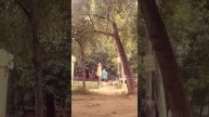 Торговая лавка 2