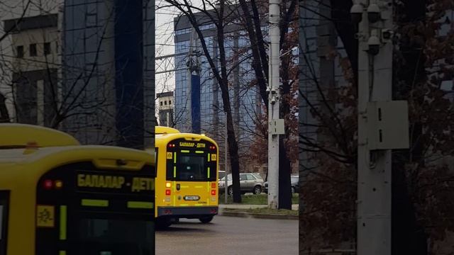 Утро Алматы. 02.12.2024.