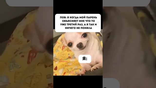 VIDEO-2024-12-02-12-20-02