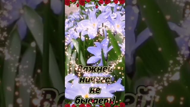 Video.Guru_20241202_080316790.mp4