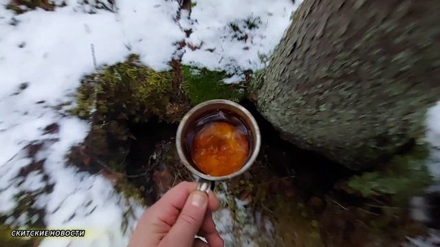 РПЦЗ. Скитские новости.
