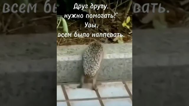 Альтруист! Стихи