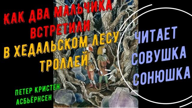 Петер Кристен Асбьёрнсен - Как два мальчика встретили в Хедальском лесу троллей