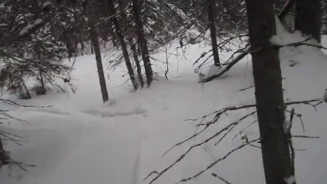 Сбор чаги и капа на мотобуксировщике(амфибийный буксировщик 2)