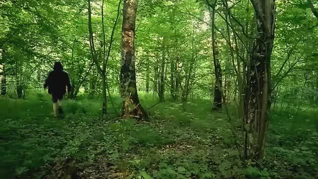Ужасы леса. Фильм, 2019. Комедия, ужасы, слэшер.