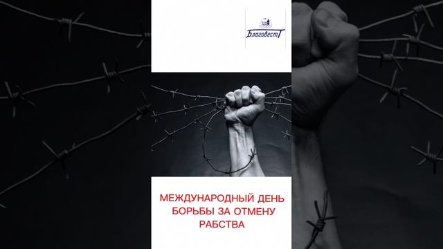 Какой праздник сегодня 2 декабря #благовест #андрей_лишин  #sizovsproduction#топ #праздник #именины