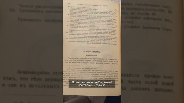 История содержания ЖАБ. Что за новая мода?