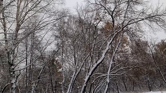 А.С. Пушкин Зимнее утро (детская библиотека №7 "Семейный круг")