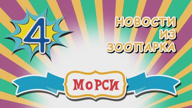 ПРЕМЬЕРА! Морси 4. Новости из зоопарка