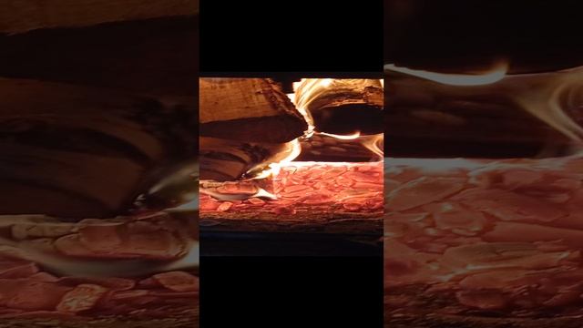 1000167142.mp4