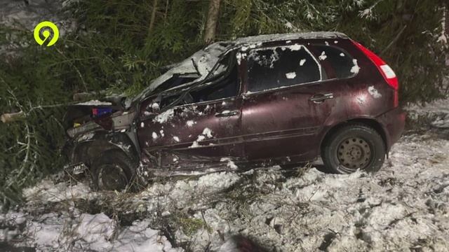 Давеча | 02.12.2024 |Аварии за выходные