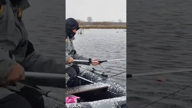 Первый снег, и трофейная щука в копилке
