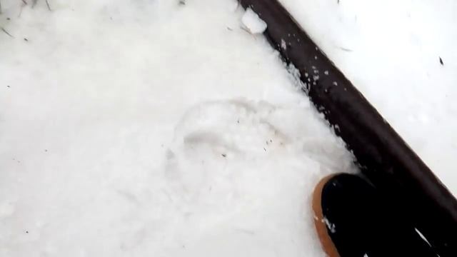 Лёд,до смотри до конца угар полнейший.