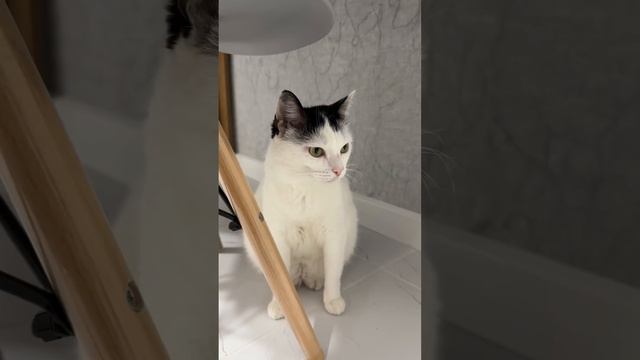 Вас тоже посещают такие мысли, когда решили отдохнуть?