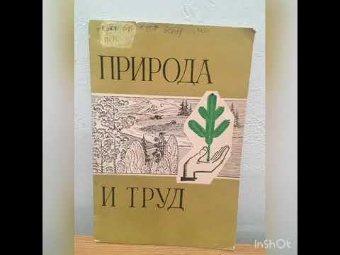 Занимательная экология