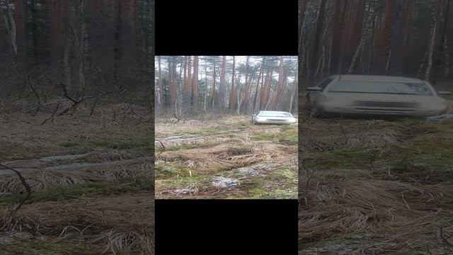 Дорога в #шушмор