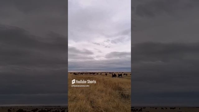 28 октября 2024 г..mp4