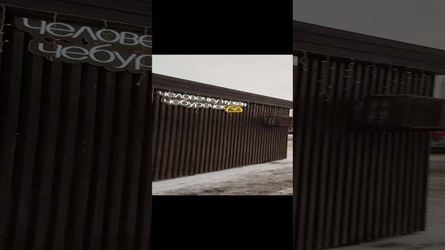 02-12-2024Прикольные вывески
