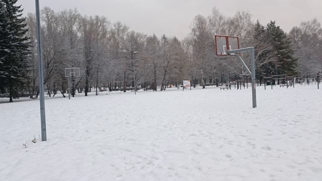 Новокузнецк 02.12.24 Тепло и снег