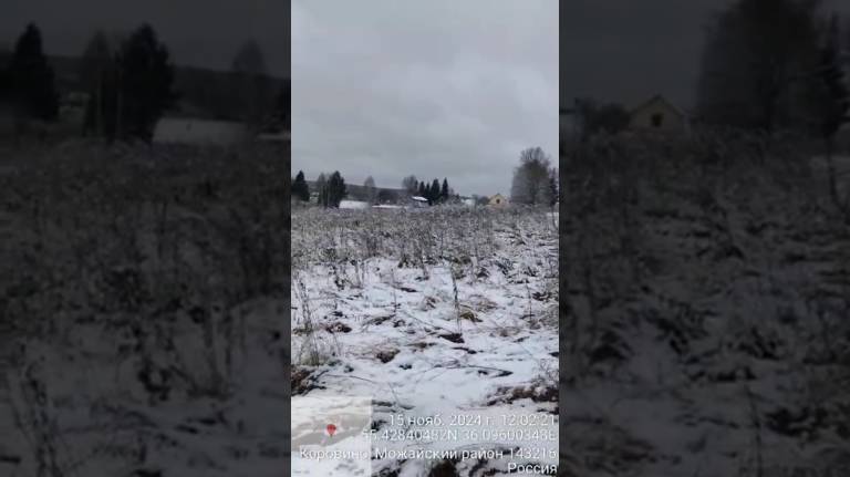 д. Коровино 50:18:0080428:1487