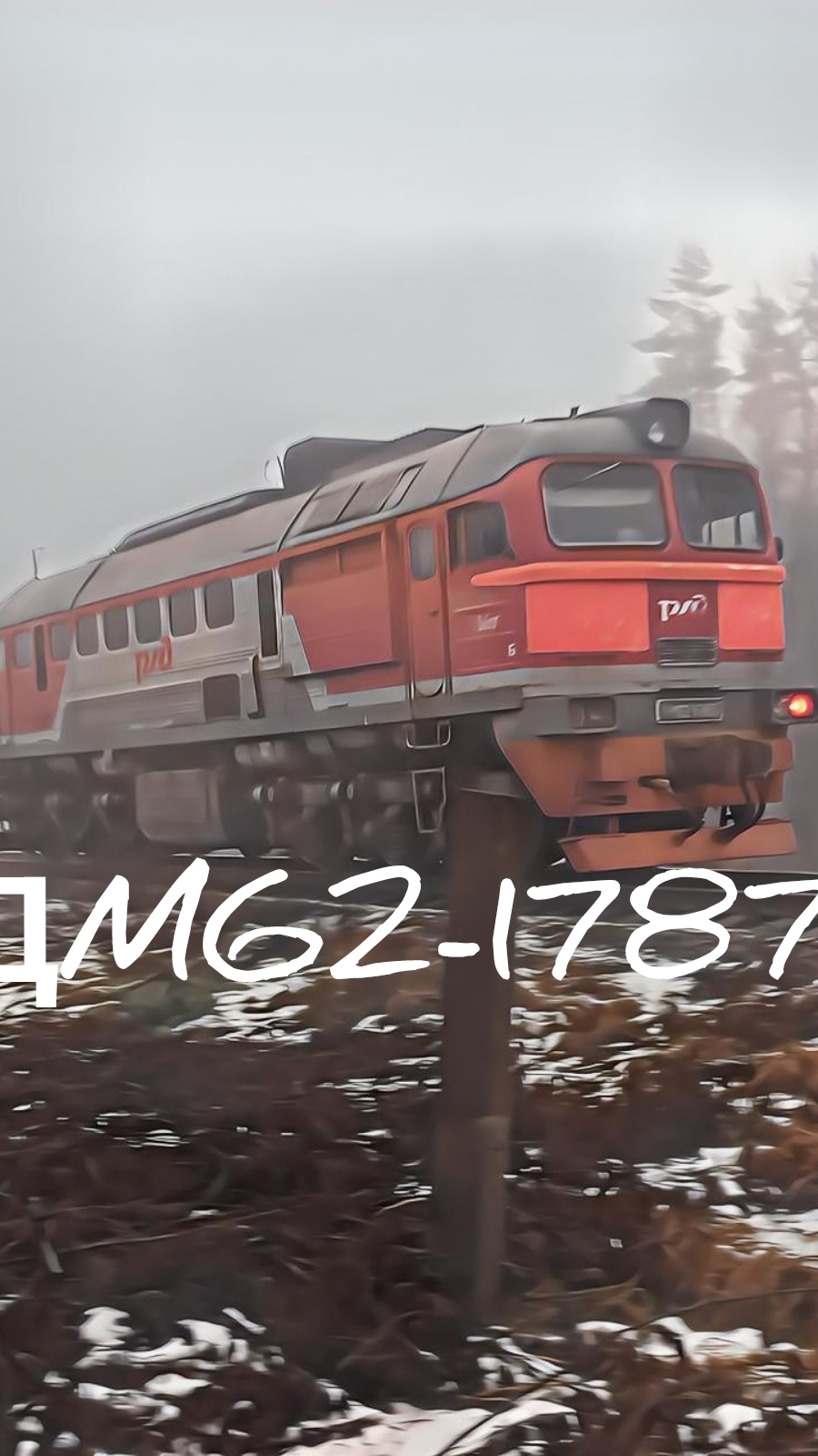 ДМ62-1787