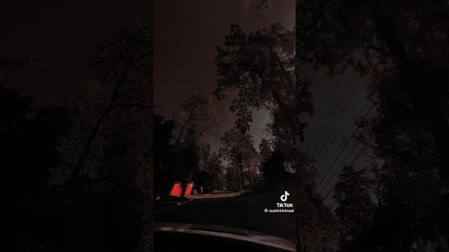 1000000236.mp4