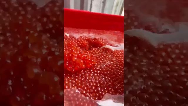 Икра кеты восстановленная